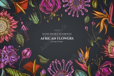Papier peint  Floral design on dark background with african daisies, fuchsia, gloriosa, king protea, anthurium, strelitzia