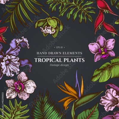 Papier peint  Floral design on dark background with monstera, banana palm leaves, strelitzia, heliconia, tropical palm leaves, orchid
