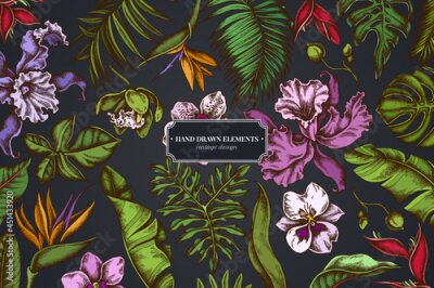 Papier peint  Floral design on dark background with monstera, banana palm leaves, strelitzia, heliconia, tropical palm leaves, orchid