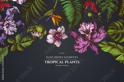 Papier peint  Floral design on dark background with monstera, banana palm leaves, strelitzia, heliconia, tropical palm leaves, orchid