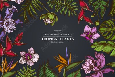 Papier peint  Floral design on dark background with monstera, banana palm leaves, strelitzia, heliconia, tropical palm leaves, orchid