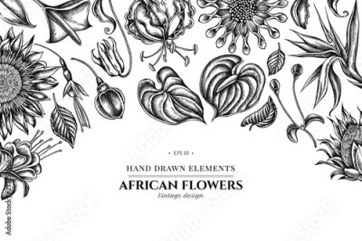 Papier peint  Floral design with black and white african daisies, fuchsia, gloriosa, king protea, anthurium, strelitzia