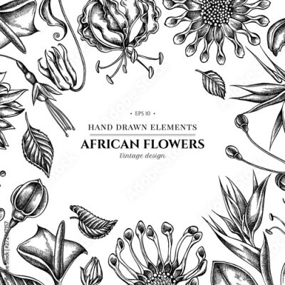 Papier peint  Floral design with black and white african daisies, fuchsia, gloriosa, king protea, anthurium, strelitzia
