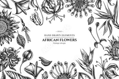 Papier peint  Floral design with black and white african daisies, fuchsia, gloriosa, king protea, anthurium, strelitzia