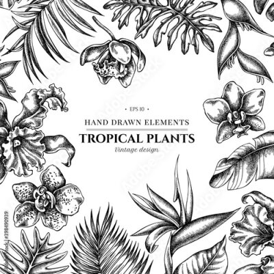 Papier peint  Floral design with black and white monstera, banana palm leaves, strelitzia, heliconia, tropical palm leaves, orchid