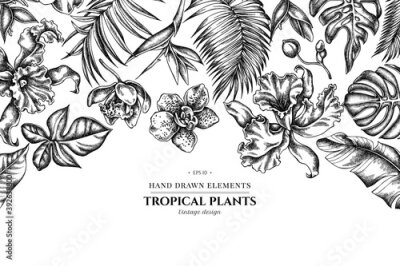 Papier peint  Floral design with black and white monstera, banana palm leaves, strelitzia, heliconia, tropical palm leaves, orchid