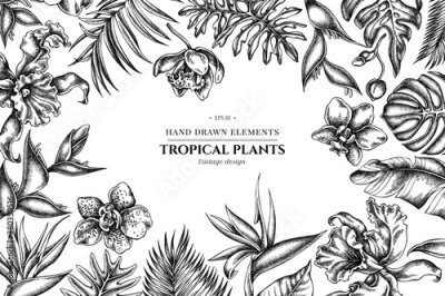 Papier peint  Floral design with black and white monstera, banana palm leaves, strelitzia, heliconia, tropical palm leaves, orchid