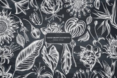 Papier peint  Floral design with chalk african daisies, fuchsia, gloriosa, king protea, anthurium, strelitzia