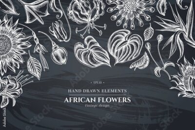 Papier peint  Floral design with chalk african daisies, fuchsia, gloriosa, king protea, anthurium, strelitzia