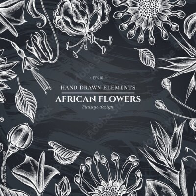 Papier peint  Floral design with chalk african daisies, fuchsia, gloriosa, king protea, anthurium, strelitzia