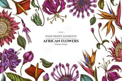Papier peint  Floral design with colored african daisies, fuchsia, gloriosa, king protea, anthurium, strelitzia