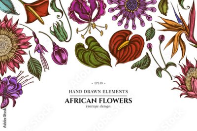 Papier peint  Floral design with colored african daisies, fuchsia, gloriosa, king protea, anthurium, strelitzia