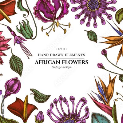 Papier peint  Floral design with colored african daisies, fuchsia, gloriosa, king protea, anthurium, strelitzia