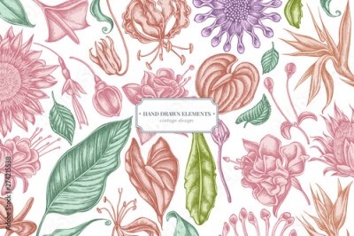 Papier peint  Floral design with pastel african daisies, fuchsia, gloriosa, king protea, anthurium, strelitzia
