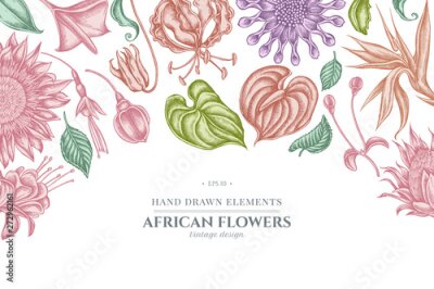 Papier peint  Floral design with pastel african daisies, fuchsia, gloriosa, king protea, anthurium, strelitzia