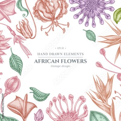 Papier peint  Floral design with pastel african daisies, fuchsia, gloriosa, king protea, anthurium, strelitzia