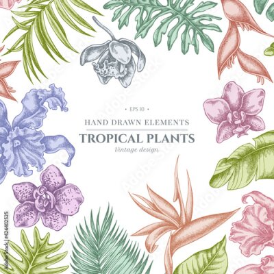 Papier peint  Floral design with pastel monstera, banana palm leaves, strelitzia, heliconia, tropical palm leaves, orchid