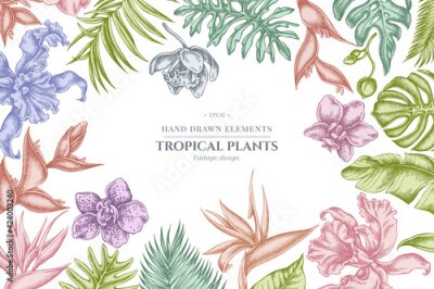 Papier peint  Floral design with pastel monstera, banana palm leaves, strelitzia, heliconia, tropical palm leaves, orchid
