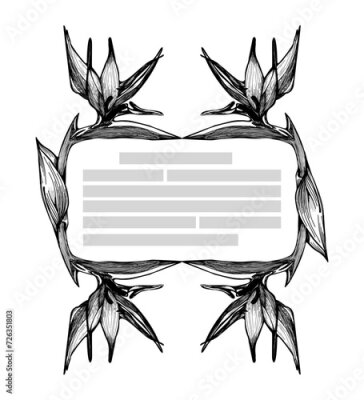 Papier peint  Floral Engraving Frame. Hand drawn Botanical vector illustration. Flower Strelitzia wreath Black and white with place for own text