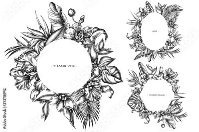 Papier peint  Floral frames with black and white monstera, banana palm leaves, strelitzia, heliconia, tropical palm leaves, orchid