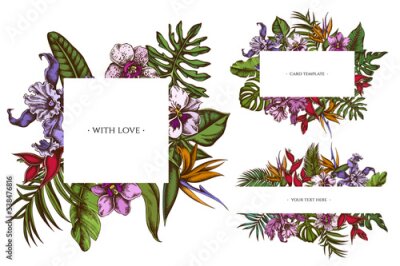 Papier peint  Floral frames with colored monstera, banana palm leaves, strelitzia, heliconia, tropical palm leaves, orchid