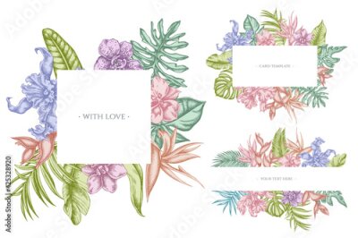 Papier peint  Floral frames with pastel monstera, banana palm leaves, strelitzia, heliconia, tropical palm leaves, orchid