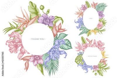 Papier peint  Floral frames with pastel monstera, banana palm leaves, strelitzia, heliconia, tropical palm leaves, orchid