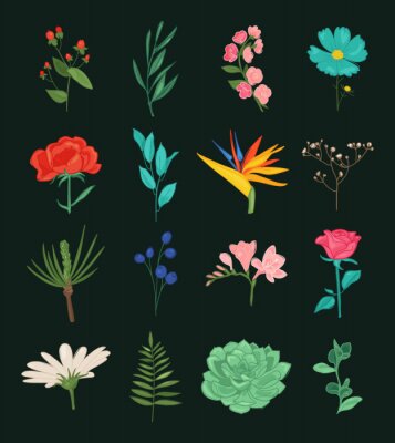 Papier peint  Floral plants isolated doodle icons. vector illustration. Beautiful spring and summer flower collection