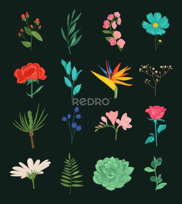 Papier peint  Floral plants isolated doodle icons. vector illustration. Beautiful spring and summer flower collection