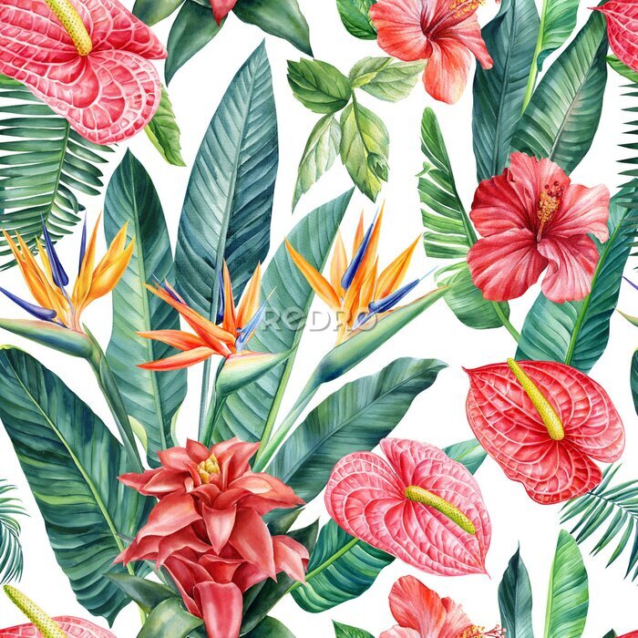 Papier peint  Floral Seamless pattern, jungle palm levels. Bromeliad, hibiscus, anthurium and strelitzia Flowers