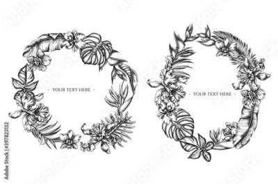 Papier peint  Floral Wreath of black and white monstera, banana palm leaves, strelitzia, heliconia, tropical palm leaves, orchid
