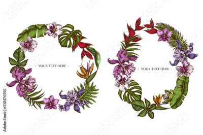 Papier peint  Floral Wreath of colored monstera, banana palm leaves, strelitzia, heliconia, tropical palm leaves, orchid
