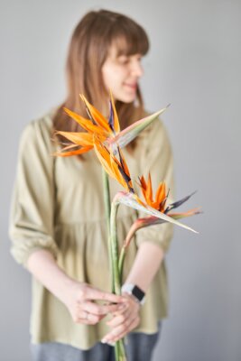 Papier peint   Florist woman creates beautiful bouquet with strelitzia flower. European floral shop concept. Handsome fresh bunch. Education, master class and floristry courses. Flowers delivery.