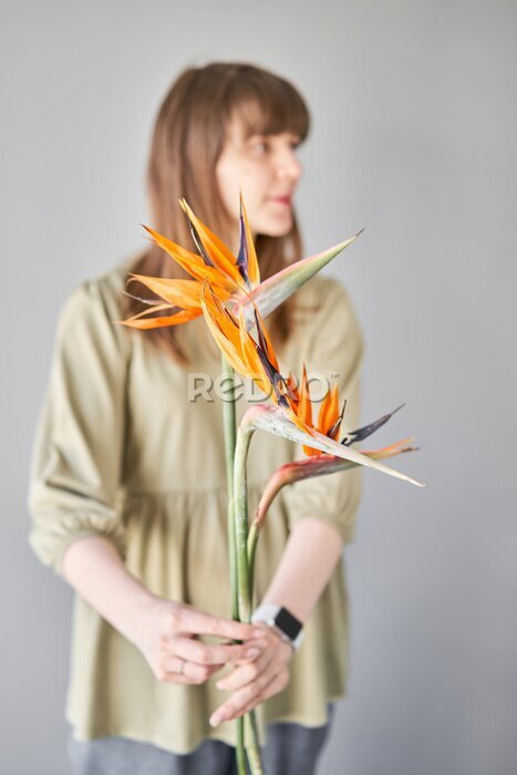 Papier peint   Florist woman creates beautiful bouquet with strelitzia flower. European floral shop concept. Handsome fresh bunch. Education, master class and floristry courses. Flowers delivery.