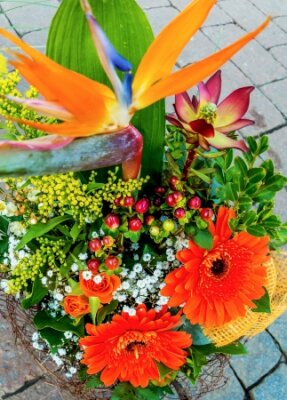 Papier peint  Flower arrangement with Strelitzia, Mimosa and orange gerbera