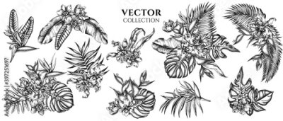 Papier peint  Flower bouquet of black and white monstera, banana palm leaves, strelitzia, heliconia, tropical palm leaves, orchid