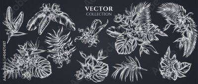 Papier peint  Flower bouquet of chalk monstera, banana palm leaves, strelitzia, heliconia, tropical palm leaves, orchid