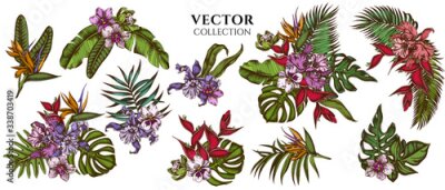Papier peint  Flower bouquet of colored monstera, banana palm leaves, strelitzia, heliconia, tropical palm leaves, orchid