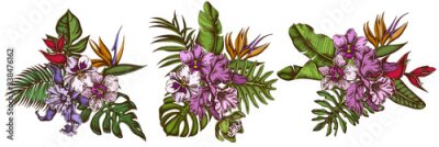 Papier peint  Flower bouquet of colored monstera, banana palm leaves, strelitzia, heliconia, tropical palm leaves, orchid