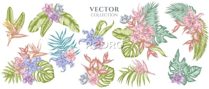 Papier peint  Flower bouquet of pastel monstera, banana palm leaves, strelitzia, heliconia, tropical palm leaves, orchid