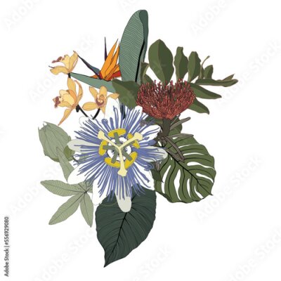 Papier peint  Flower frame with orchid, passiflora, strelitzia, simple colored flowers, style isolated on white background. Template for invitation card. Square composition. 