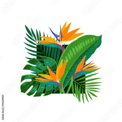 Papier peint  Flower strelitzia and tropical leaves. Vector illustration cartoon flat template for packaging design on white background.