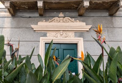 Papier peint  Flowering plants of Strelitzia reginae, commonly known as the crane flower or bird of paradise, in front of an entrance door with a decorated frame
