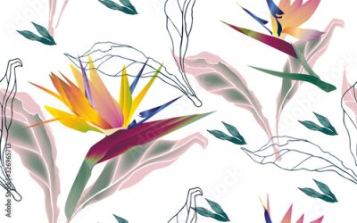 Papier peint  Flowers of bird of paradise, Strelitzia royal with leaves and petals on a white background seamless pattern.