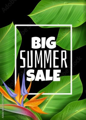 Papier peint  Flowers strelitzia trees leaves vertical poster