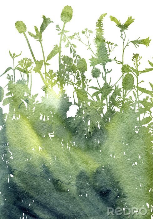 Papier peint  Fond aquarelle avec dessin d'herbes et de fleurs