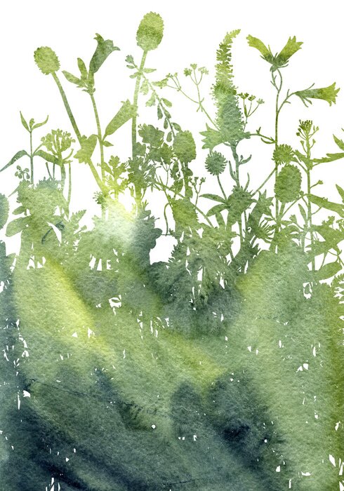 Papier peint  Fond aquarelle avec dessin d'herbes et de fleurs