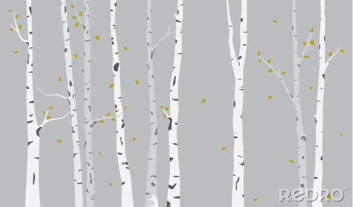 Papier peint  Fond de silhouette de bouleau