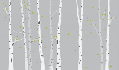 Papier peint  Fond de silhouette de bouleau