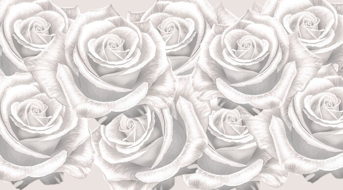 Papier peint  Fond floral romantique comme une rose blanche